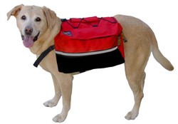 Quick Release Dog Back Pack medium