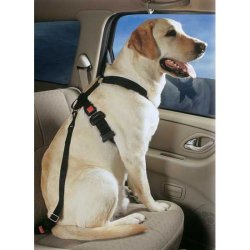 PetBuckle Travel Harness