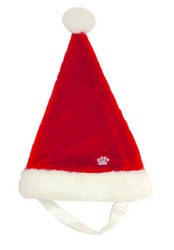 Santa Hat - Large