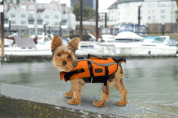 Designer II Lifejacket X-Sm