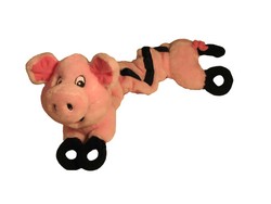 Extreme Bungee Pig