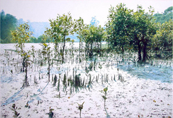 Artist supply: Morning Mangroves