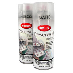 Krylon Preserve It Spray 11oz