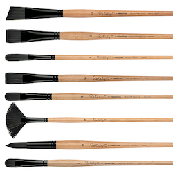 Catalyst Polytip Bristle Brushes