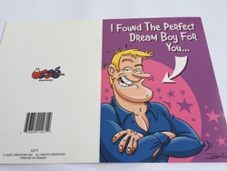 Wholesale trade: 8B - GCARD - I FOUND THE PERFECT DREAM BOY ... - 1271