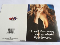 8B - GCARD - I CANT FINE THE WORDS - 1346