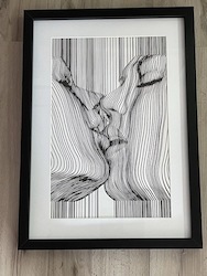 SENSUAL ART SIZE 1 - BLACK AND WHITE - KISS - SEN-01**