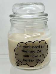 SJ - INSIGHTFUL CANDLES - I WORK HARD SO .. **