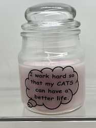 SJ - INSIGHTFUL CANDLES - I WORK HARD SO .. **