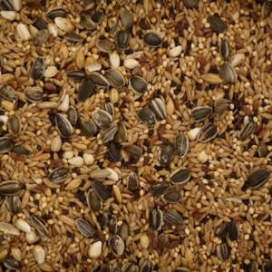 Tui Bird Seed Cockatiel Mix 500gm