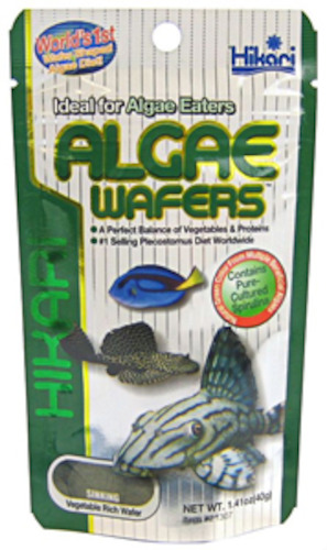 Animal - live: Hikari Tropical Algae Wafer 20gm