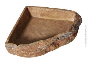 Reptile One Corner Bowl S (6.8 X 6.8 X 1.8 Cm)