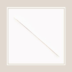 Beading Needle 45mm