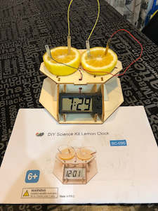 Stem Projects: Lemon Clock