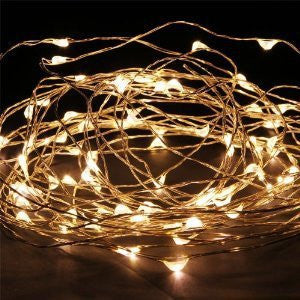 5m Warm Copper Wire Seed Lights (battery operated)