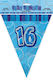 Glitz Blue Birthday Flag Banner - 16