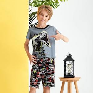 Trendy Kid Boy Dinosaur Animal Print Casual Set NZ