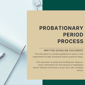 Human relations consultancy service: Probationary Period Process Guideline Yellowconsulting2023