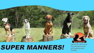 Super Manners 5-session Course RICHMOND starts Monday @ 7.00 PM