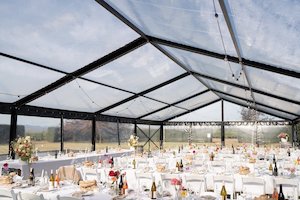 Marquee and tent hiring: Festoon Lights