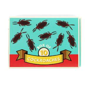 Toy wholesaling: Box of 10 cockroaches