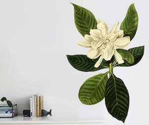 Oval Leaved Gardenia Wall Decal