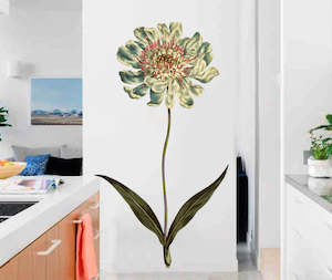 Caucasean Scabious Wall Decal