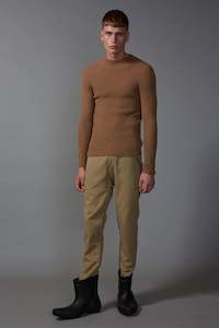 The Ribbed Turtle In Camel, W23