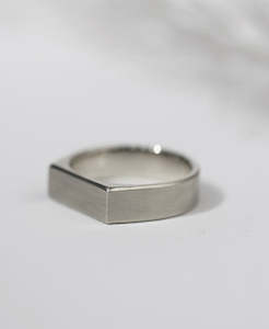 Jewellery manufacturing: Eterno Band - Platinum