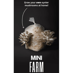 Oyster Mushroom Mini Farm