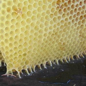 Perfume wholesaling: Bees Wax