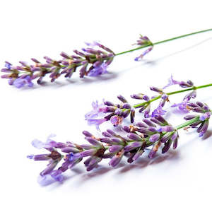 Lavender Pacific Blue NZ Essential Oil